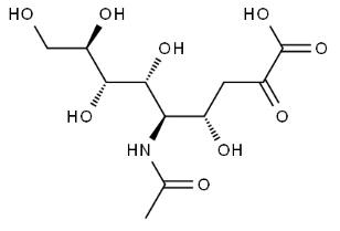 N - acétylneuraminic acide CAS n ° :131-48-6